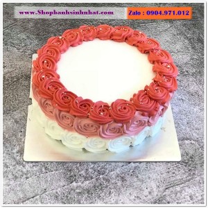 Bánh Sinh Nhật Sữa Tươi - AA50